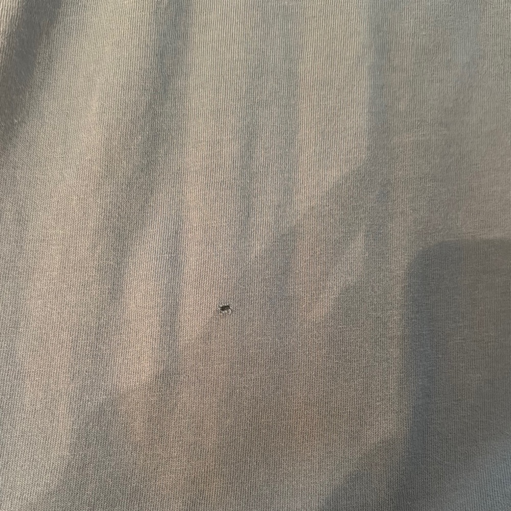 Marine Layer Sky Blue Tee with Serpent Design - Picture 7 of 7